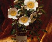 Cherokee Roses in a Glass - 马丁·约翰逊·赫德